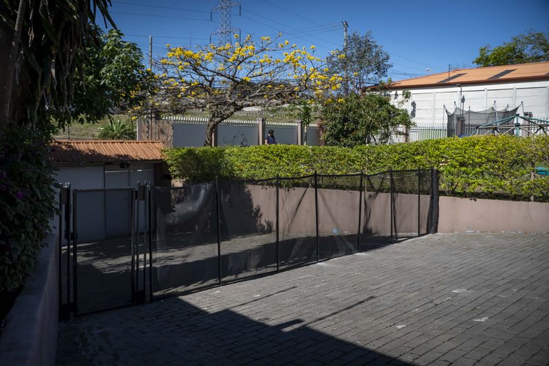 Tres perros juntos en el jardín, uno lamiendo al otro en un gesto de afecto y confianza